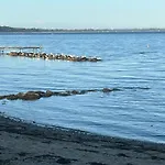 Semesterbostad Log With Sea View At Bro *